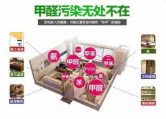 快速裝修出租，甲醛超標嚴重